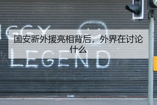 国安新外援亮相背后，外界在讨论什么