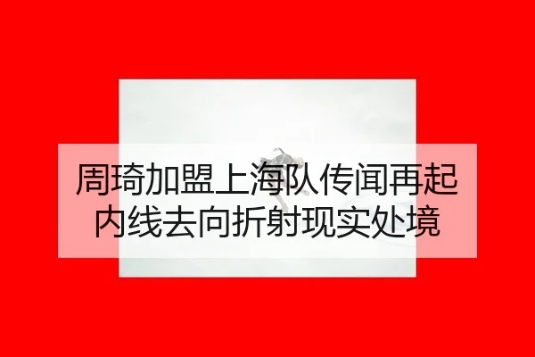 周琦加盟上海队传闻再起 内线去向折射现实处境